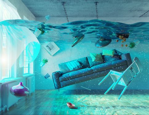 Click Here To Enlarge This Photo Of Lorem ipsum dolor