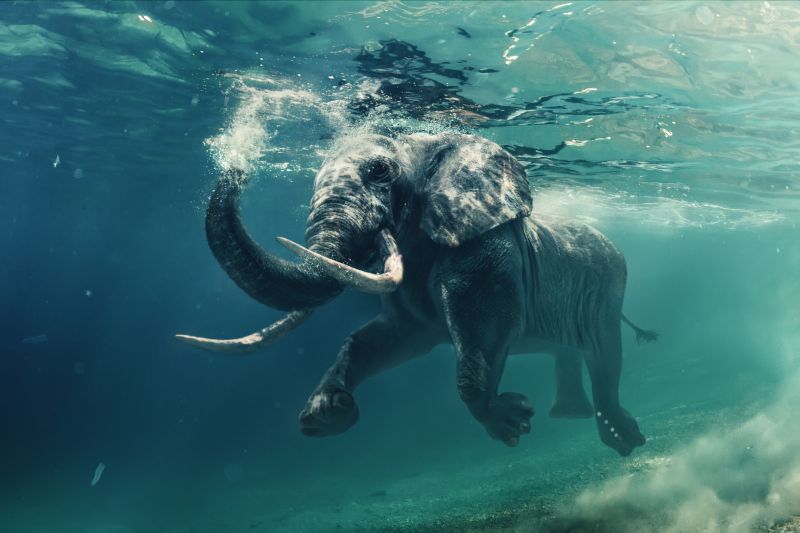 Swipe To View More Images